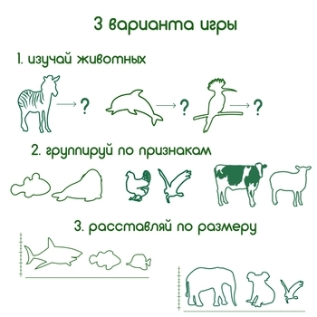 Подарунковий набір магнітів Magdum Тварини (ML4032-24 EN) - Pampik - 6