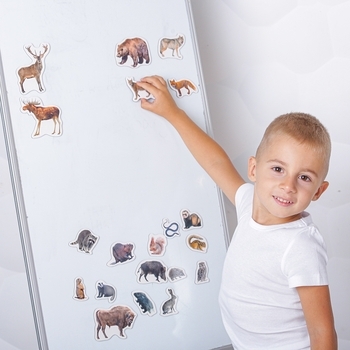 Набор магнитов Magdum Лесные жители Фото (ML4031-29 EN) - Pampik - 10