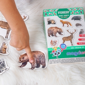 Набор магнитов Magdum Лесные жители Фото (ML4031-29 EN) - Pampik - 11