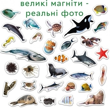 Набір магнітів Magdum Морські фото (ML4031-28 EN) - Pampik - 4