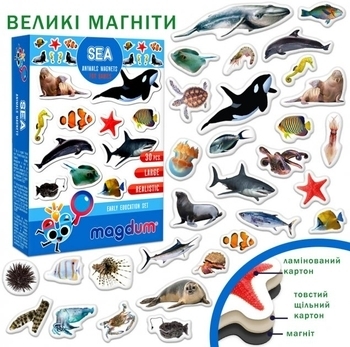 Набір магнітів Magdum Морські фото (ML4031-28 EN) - Pampik - 3