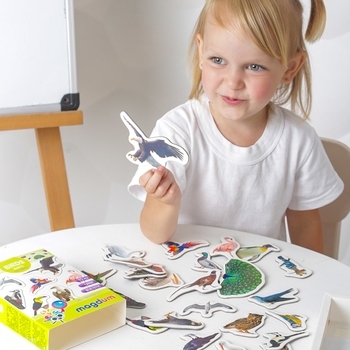 Набір магнітів Magdum Птахи Фото (ML4031-30 EN) - Pampik - 9