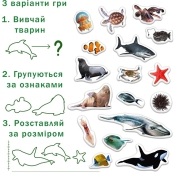 Набір магнітів Magdum Морські фото (ML4031-28 EN) - Pampik - 7