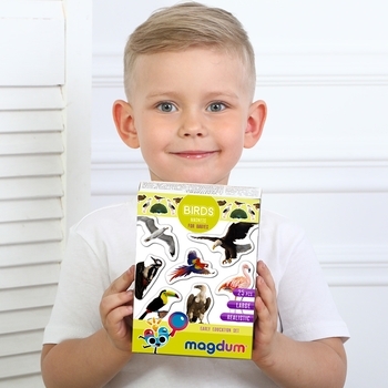 Набір магнітів Magdum Птахи Фото (ML4031-30 EN) - Pampik - 7