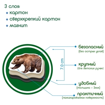 Набор магнитов Magdum Лесные жители Фото (ML4031-29 EN) - Pampik - 5