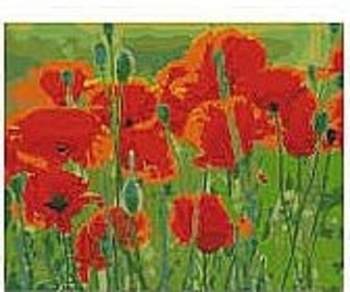 Алмазная мозаика "Поле маков ", 40х50 см Strateg - Pampik