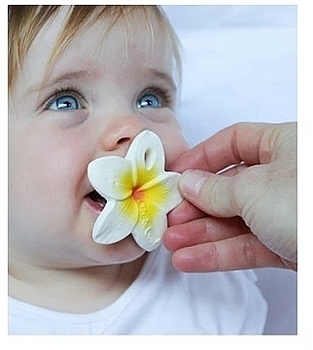 Прорезыватель для зубов "Цветочек Гавайев" Oli&Carol - Pampik - 3