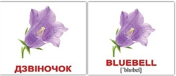 Комплект карточек по методике Глена Домана МИНИ “Цветы” (укр)(eng) Вундеркинд с пелёнок, укр - Pampik