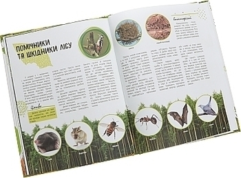 Книга "Мир и его тайны. Жизнь леса" на украинском языке Ранок - Pampik - 2