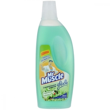Засіб для миття підлоги та інших поверхонь Mr Muscle Ранкова свіжість, 500 мл - Pampik
