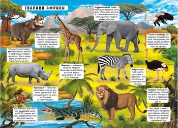 Книжка з секретними віконцями. Відкрий та дізнайся. Тварини планети Земля (F00021209) - Pampik - 3