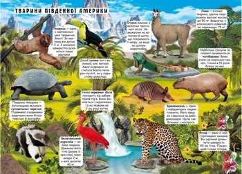 Книжка з секретними віконцями. Відкрий та дізнайся. Тварини планети Земля (F00021209) - Pampik - 2