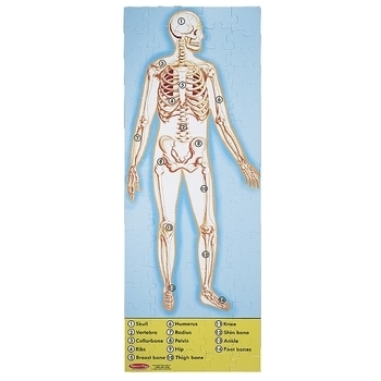 Мега-пазл Melissa&Doug Строение человека, 100 эл. (MD445) - Pampik - 2