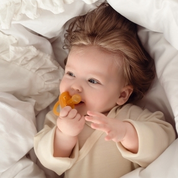 Пустышка 100% латексная Baboo, 0+ месяцев (90591) - Pampik - 6