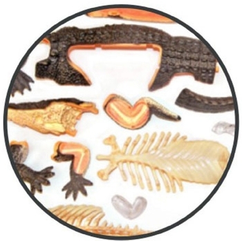 Объемная модель 4D Master Крокодил, 26 деталей (FM-622034) - Pampik - 3