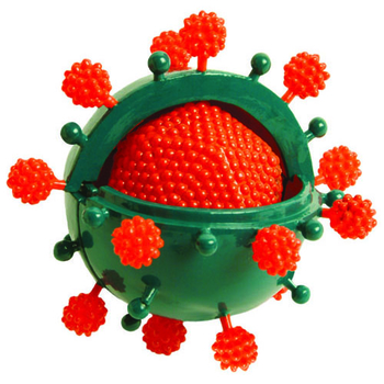 Біологічні моделі COG Вірус (E2371VS) - Pampik - 3