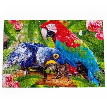 Пазл De.tail Parrots, 500 елементів (DT500-01) - Pampik - 2