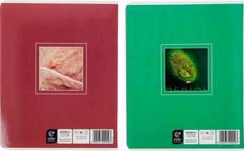 Набір зошитів Interdruk Premium Aerial View A, лінія, 96 аркушів, 2 шт. (299093-2А) - Pampik - 2