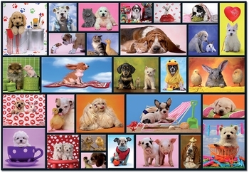 Пазл Educa Коллаж з тваринами, 1000 елементів (15518) - Pampik - 2