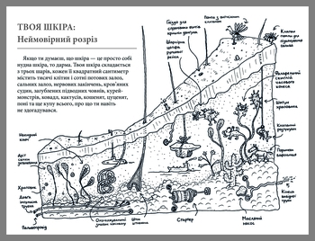 Що це за орган? Дурнуватий довідник з анатомії твого тіла - Енді Ґріффітс - Pampik - 5