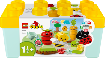 Конструктор LEGO DUPLO Органічний город, 43 елементи (10984) - Pampik