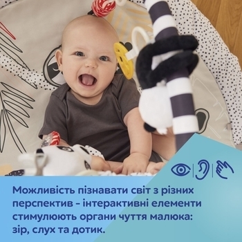 Развивающий коврик Canpol babies BabiesBoo с зеркалом, серый (68/092) - Pampik - 14