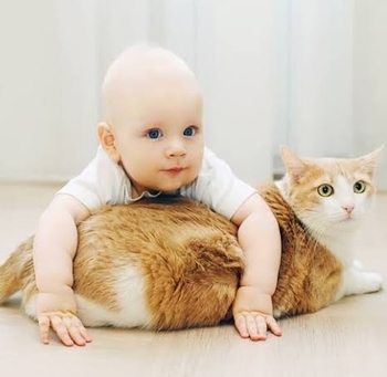 Натуральний очисник підлоги Purenn Organic Family Amigo Animal Friendly без аромату, антибактеріальний, 1 л (80166) - Pampik - 3