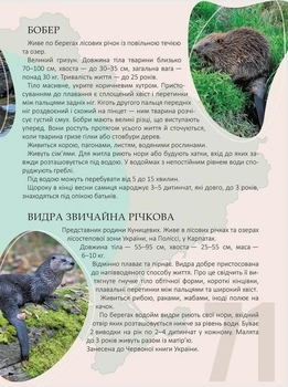 Перлини природи України. Енциклопедія для допитливих - Pampik - 4