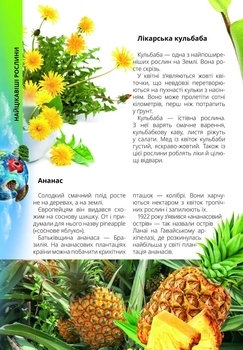 Про все на світі маленьким українцям - Шаповалова К.В. составитель (9789669890450) - Pampik - 7