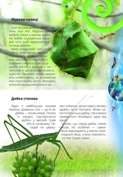 Про все на світі маленьким українцям - Шаповалова К.В. составитель (9789669890450) - Pampik - 5