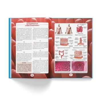 Ви маєте це знати. Тіло людини - Pampik - 8