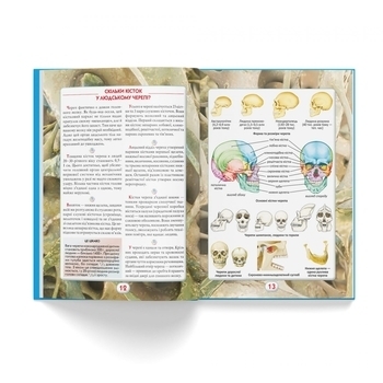 Ви маєте це знати. Тіло людини - Pampik - 6