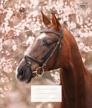 Набір зошитів Interdruk Premium Horses, клітина, 12 аркушів, 8 шт. (298546-8) - Pampik - 2