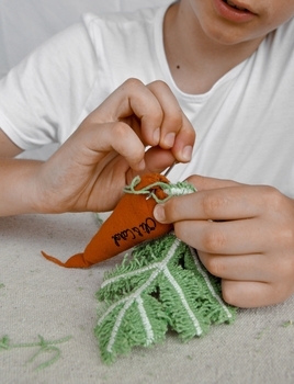 Набор для творчества Oli&Carol Сделай сам, Морковь Кети (DIY-CATHY-THE-CARROT) - Pampik - 6