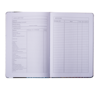 Дневник школьный ZiBi Pink 48 листов (ZB.13204-10) - Pampik - 8