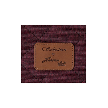 Универсальная коляска 2 в 1 Hartan Yes GTS Selection Berry, вишневый (2317129551-1) - Pampik - 5