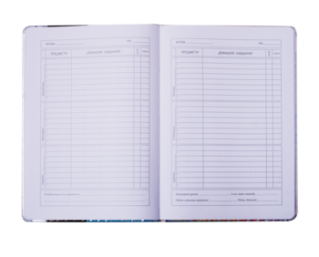 Дневник школьный ZiBi Pink 48 листов (ZB.13204-10) - Pampik - 3