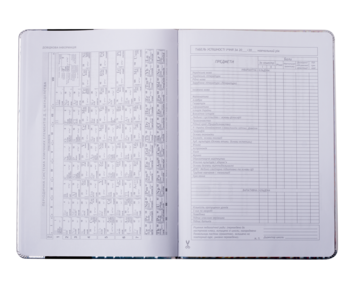 Дневник школьный ZiBi Pink 48 листов (ZB.13204-10) - Pampik - 6