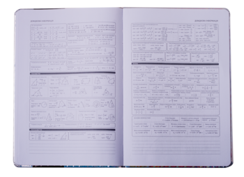 Дневник школьный ZiBi Pink 48 листов (ZB.13204-10) - Pampik - 5