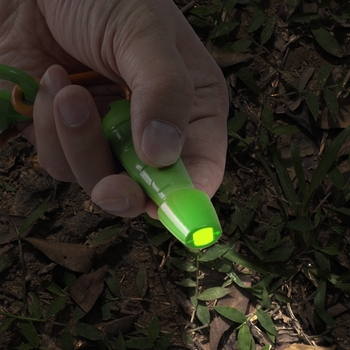 Набор натуралиста Edu-Toys Комплект 6 в 1 (BL128) - Pampik - 6