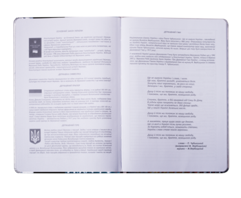 Дневник школьный ZiBi Pink 48 листов (ZB.13204-10) - Pampik - 9