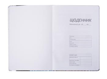 Дневник школьный ZiBi Pink 48 листов (ZB.13204-10) - Pampik - 2