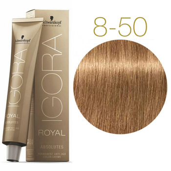 Перманентная краска для седых волос Schwarzkopf Igora Royal Absolutes, тон 8-50 (светло-русый золотистый натуральный), 60 мл (2681816) - Pampik - 2