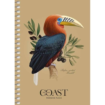 Блокнот для записів Student, В6, у клітинку, спіраль, 60 л., Тукан на гілці (A6-SC-060-6086K) - Pampik