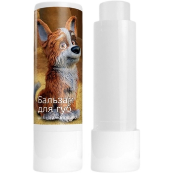 Бальзам стик для губ Colour Intense x Mavka, тон 02 (Шусть), 5 г - Pampik