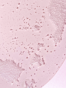 Лосьон для тела Yope Linden 300 мл - Pampik - 2