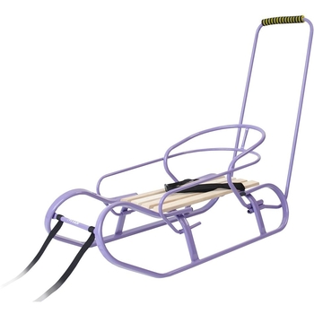 Санки Vitan Експрес зі спинкою та ручкою фіолетові (2130033) - Pampik