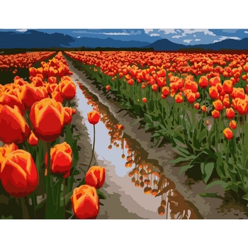 Картина за номерами ArtCraft Поля в Голландії 40x50 см (10524-AC) - Pampik