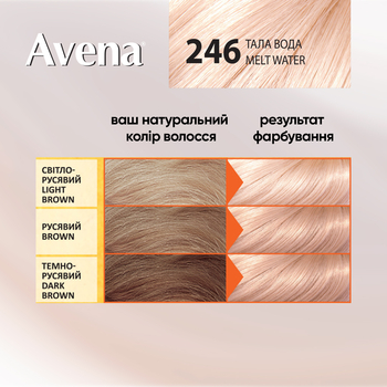 Cтійка крем-фарба для волосся Avena Blond Color тала вода 246, 138 мл - Pampik - 5