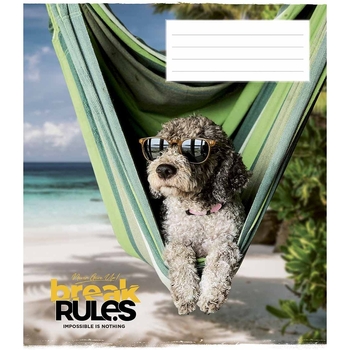 Зошит учнівський Школярик Break the rules, в лінію, 24 аркуші, ВД-лак, 25 шт. (024-3220L) - Pampik